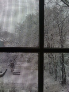 3340621121_0a6322af85_o