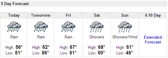 rain, rain, rain, rain, showers