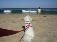 jefferson waiting patiently for his mom