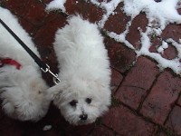 joy and jefferson in snow