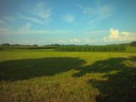 phonecam photo of field in lancaster pa