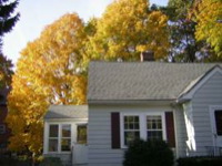 thumbnailAutumnLeaves: 