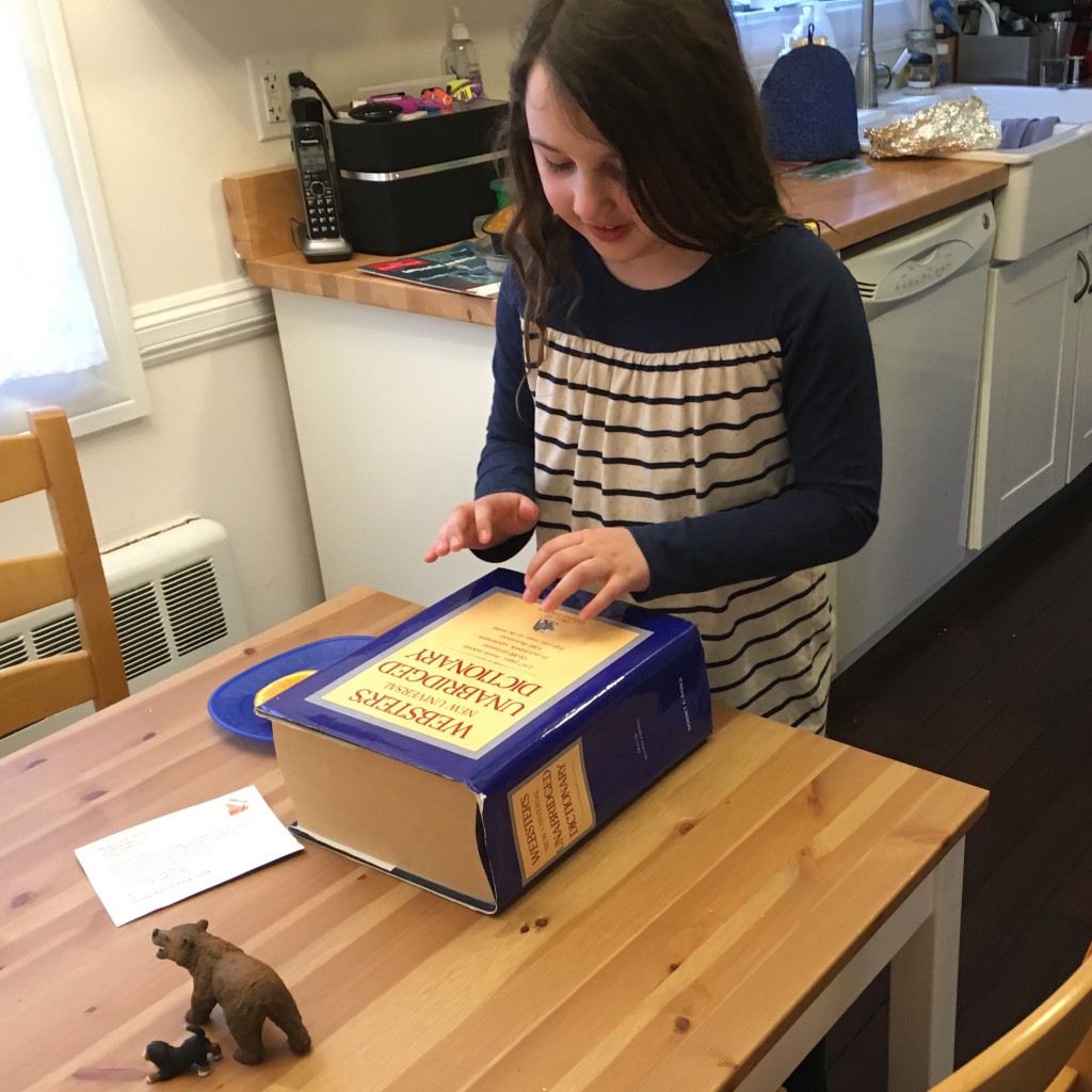 the_girl_and_dictionary