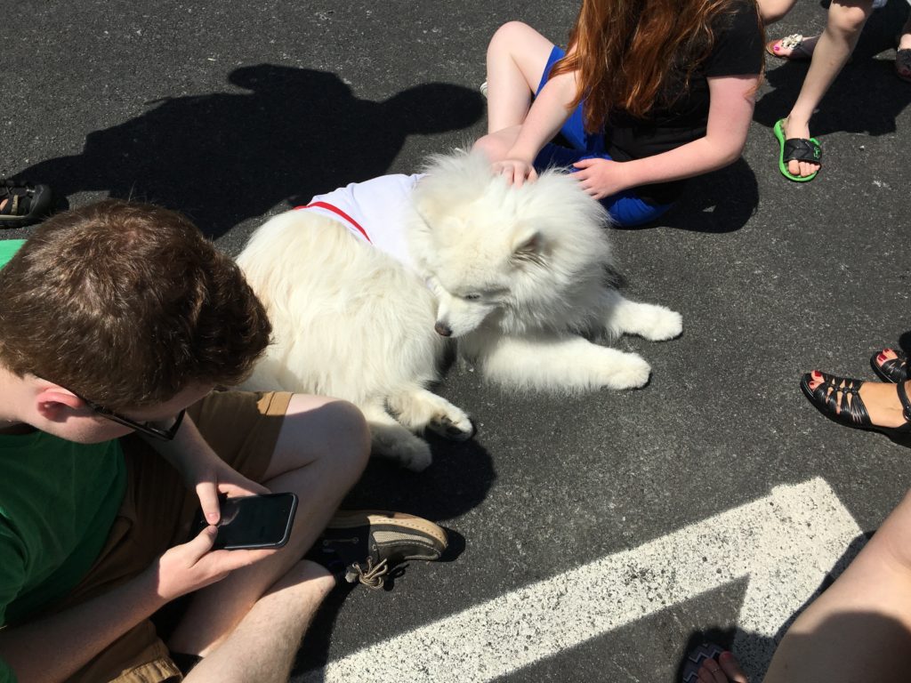 Harvard Dangerfield greeting his public at Tanglewood, August 2016